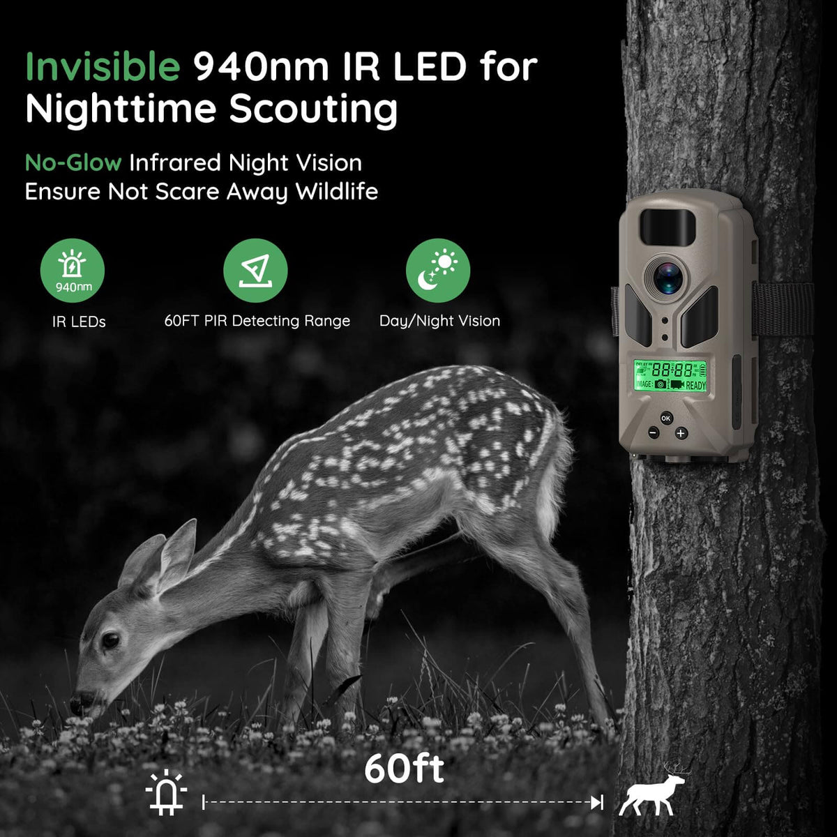 MiniB Trail Camera 2-Pack