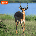 Outdoor Expert MiniB trail camera product structure