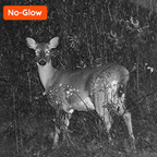 940nm no-glow night vision wildlife capture