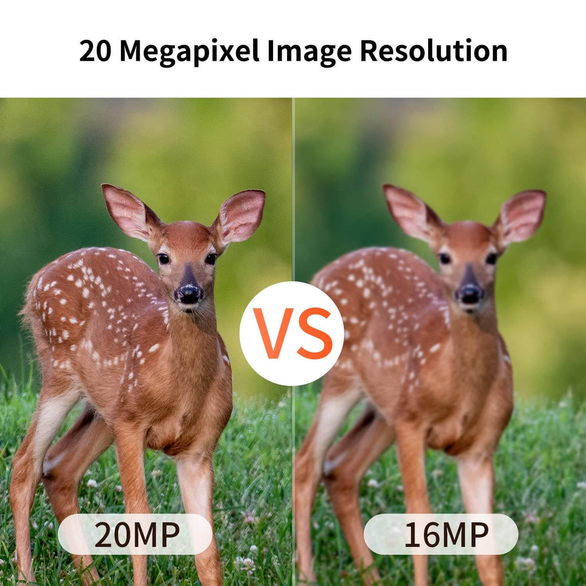 Outdoor Expert MiniB trail camera product structure