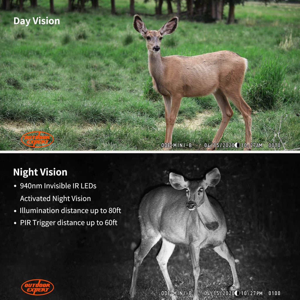 940nm no-glow night vision wildlife capture